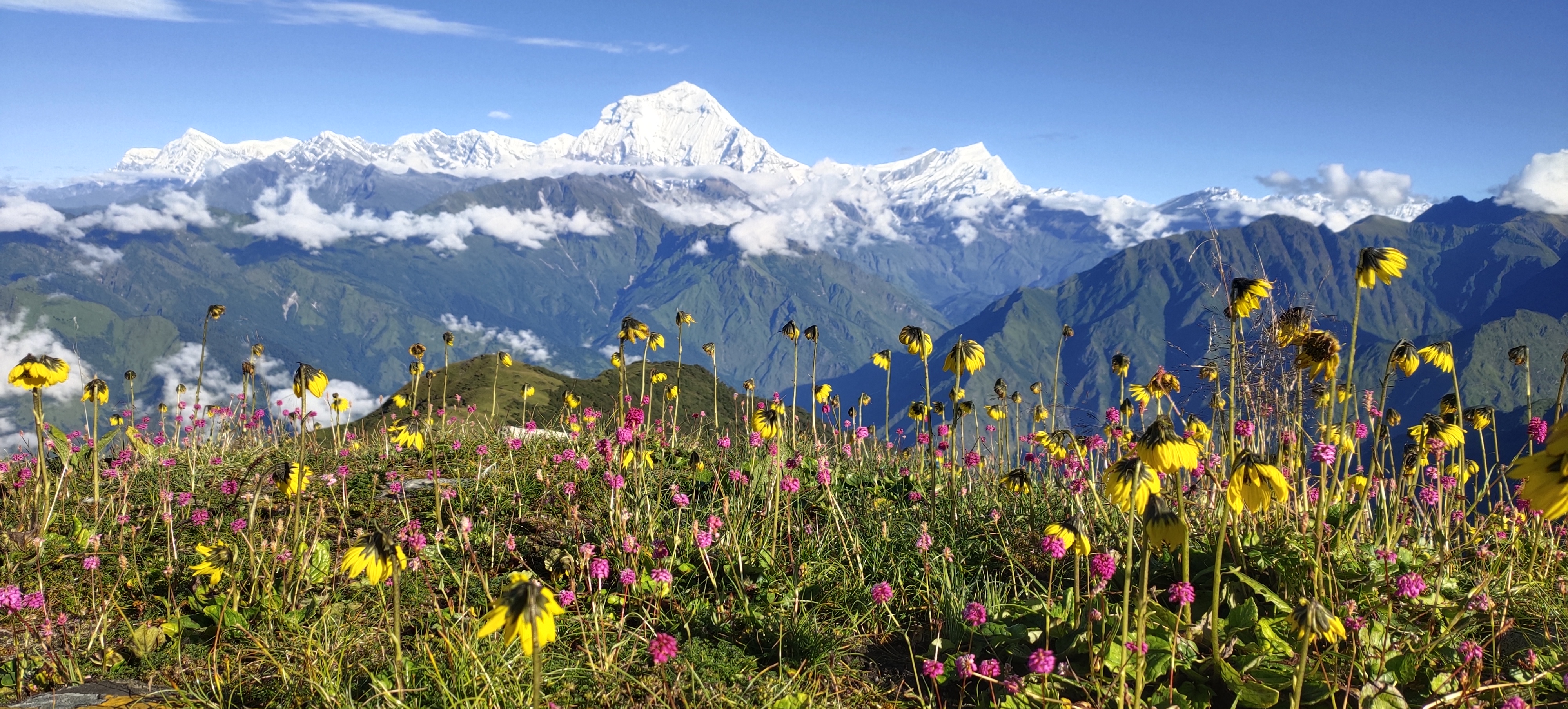 Dhaulagiri Round Trek